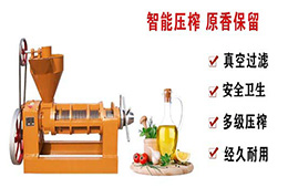茶油榨油机多少钱一台？