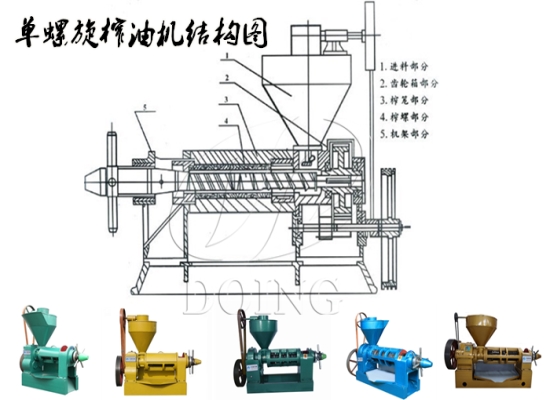 单螺旋葵花籽榨油机