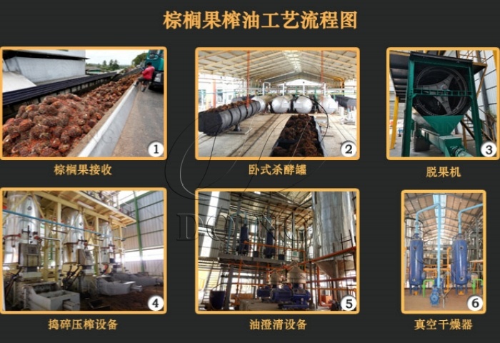 棕榈果压榨工艺