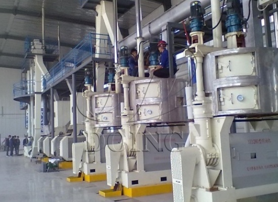 三月春色黄金甲,黄色油菜花如何变身金色菜籽油