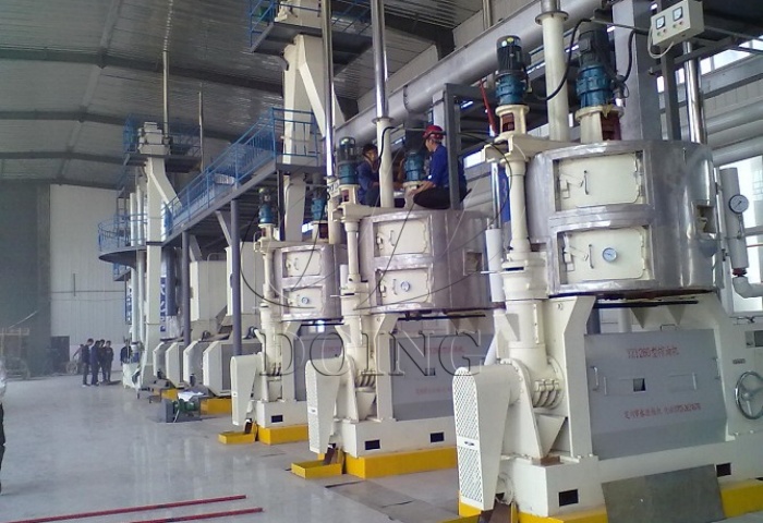 国瑞食用油榨油机