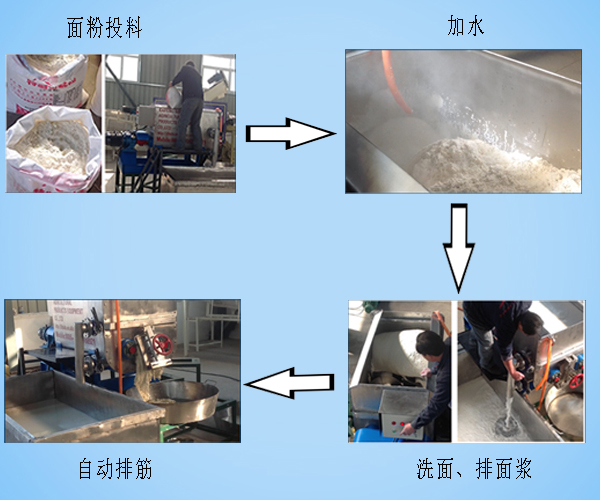 双螺旋洗面筋机工作流程