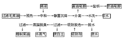 菜籽油加工工艺流程