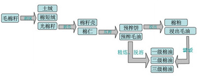 棉籽油压榨工艺