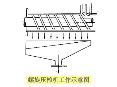 榨油机设备